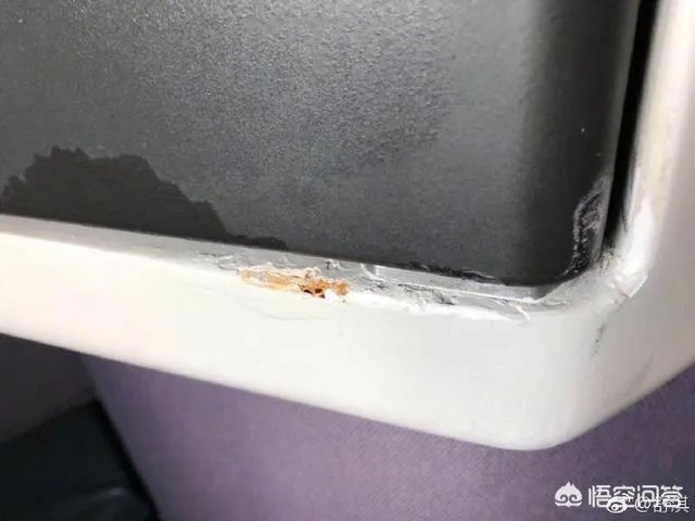 舒淇发文怒斥乘机旅客碰撞电视损坏公物,乘客应该为其不文明行为负责么?