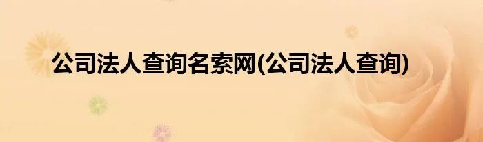 公司法人查询名索网(公司法人查询)