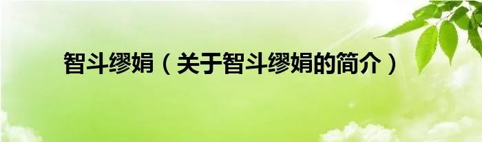 智斗缪娟（关于智斗缪娟的简介）