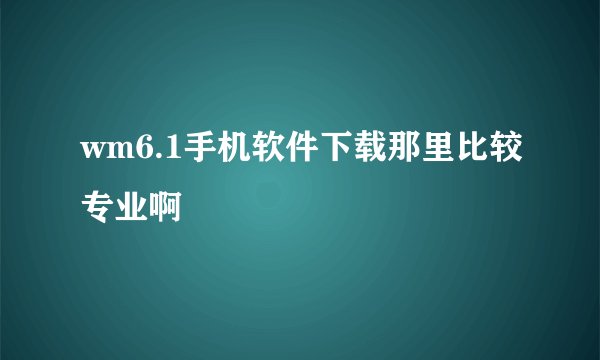 wm6.1手机软件下载那里比较专业啊