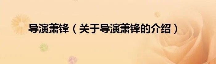 导演萧锋（关于导演萧锋的介绍）