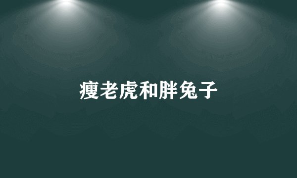 瘦老虎和胖兔子