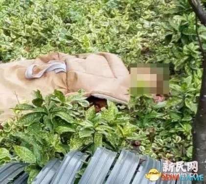 上海高层民宅爆炸致2死 爆炸气浪致女子飞出窗外