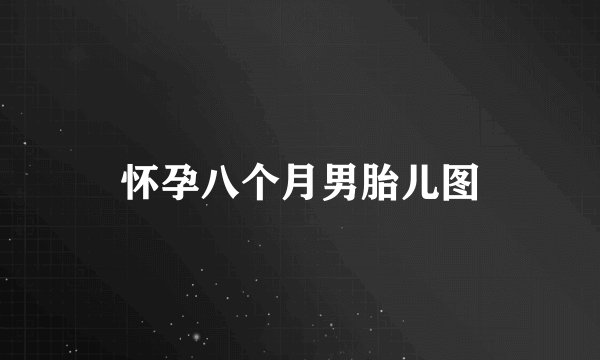 怀孕八个月男胎儿图