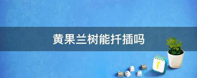 黄果兰树能扦插吗