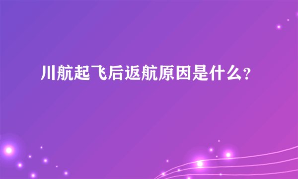 川航起飞后返航原因是什么？