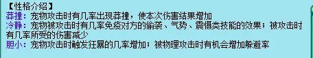 神武坐骑怎么养 全面解析坐骑获取方式