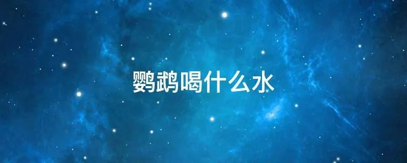 鹦鹉喝什么水