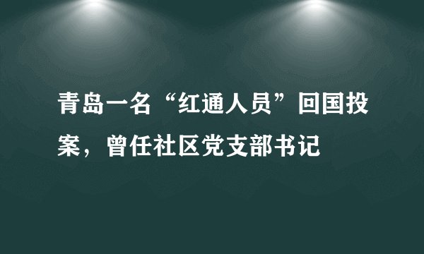 青岛一名“红通人员”回国投案,曾任社区党支部书记