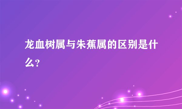 龙血树属与朱蕉属的区别是什么？