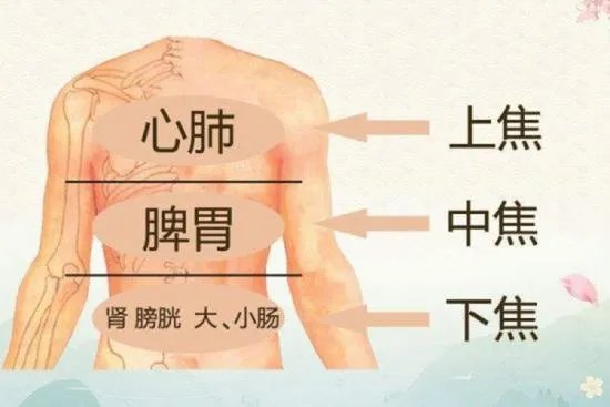 人体三焦分别指的哪些部位