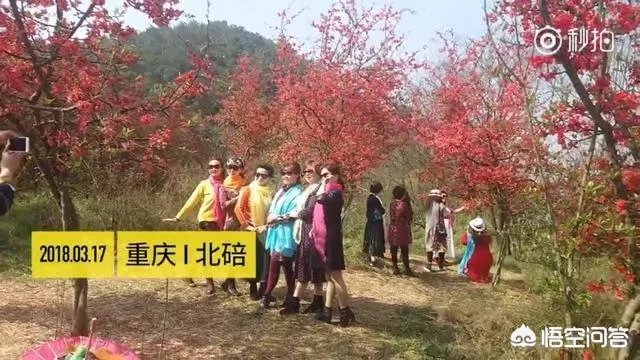 阿姨们照相带7条丝巾挪10次地方,丝巾墨镜成妈妈拍照必备,你的妈妈爱拍丝巾照吗?