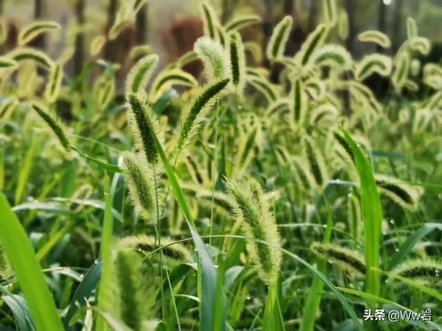 上海青年排队时起争执，因老人先骂人扇老太耳光，你怎么看？