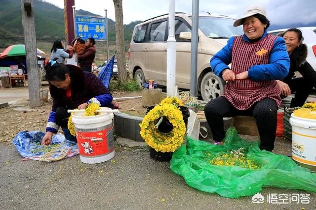 你对江西婺源景区强收卫生费怎么看?