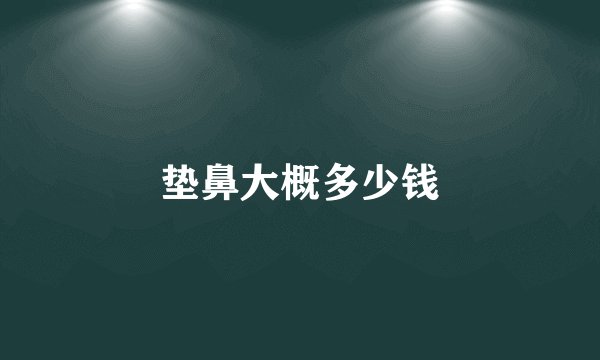 垫鼻大概多少钱