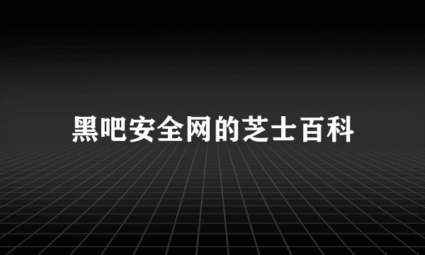 黑吧安全网的芝士百科
