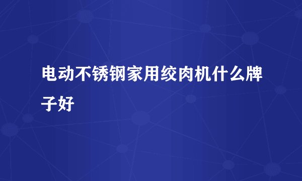 电动不锈钢家用绞肉机什么牌子好