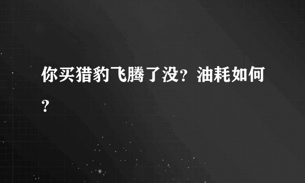 你买猎豹飞腾了没?油耗如何?