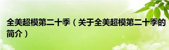 全美超模第二十季（关于全美超模第二十季的简介）