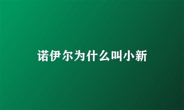 诺伊尔为什么叫小新