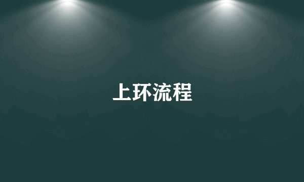 上环流程