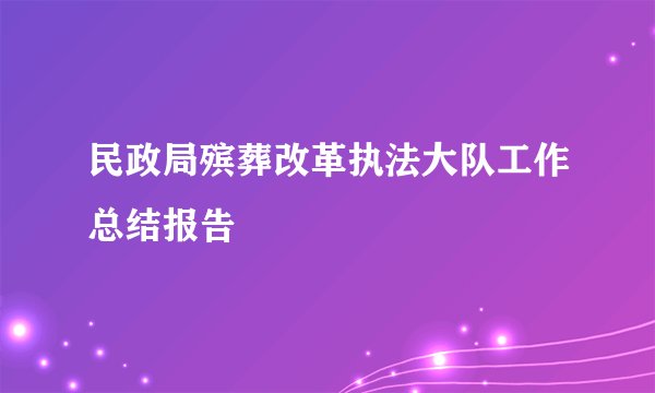 民政局殡葬改革执法大队工作总结报告