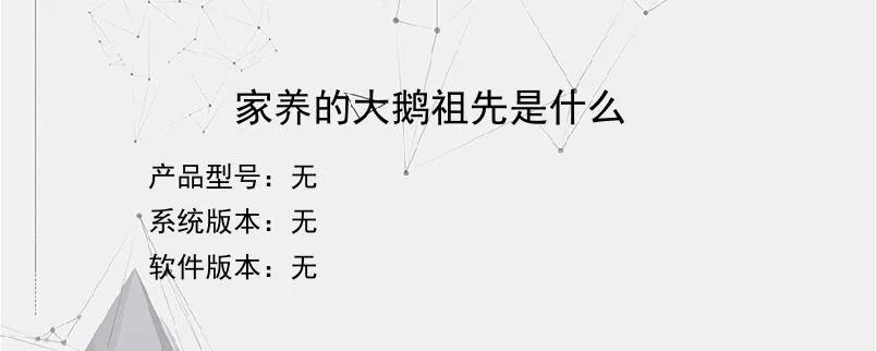 家养的大鹅祖先是什么
