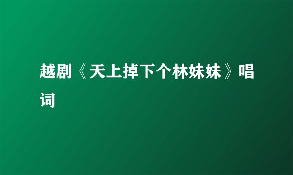 越剧《天上掉下个林妹妹》唱词