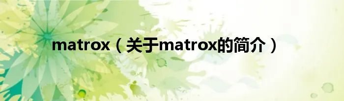 matrox(关于matrox的简介)