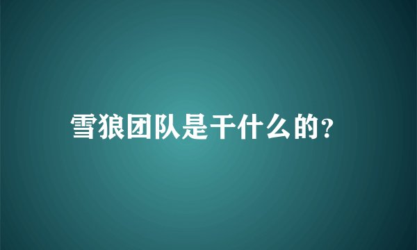 雪狼团队是干什么的?