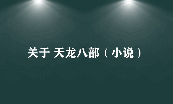 关于 天龙八部(小说)