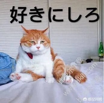 为什么有些人明知道便宜没好货,却依然要买?