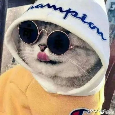 泡面碗怎么样好?