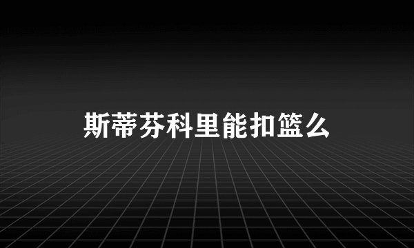 斯蒂芬科里能扣篮么