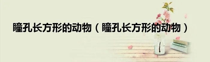 瞳孔长方形的动物（瞳孔长方形的动物）