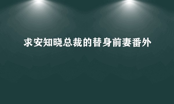 求安知晓总裁的替身前妻番外