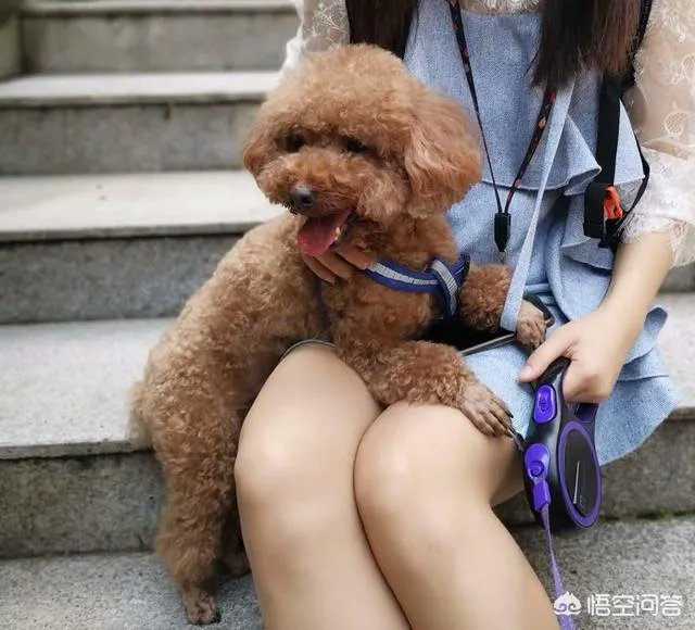 唯品会最近的折扣多吗?