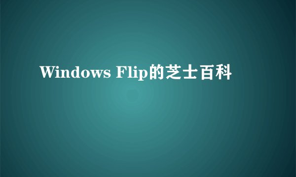 Windows Flip的芝士百科