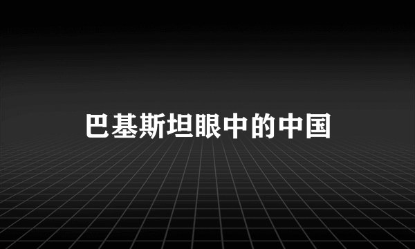 巴基斯坦眼中的中国