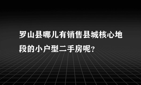 罗山县哪儿有销售县城核心地段的小户型二手房呢？