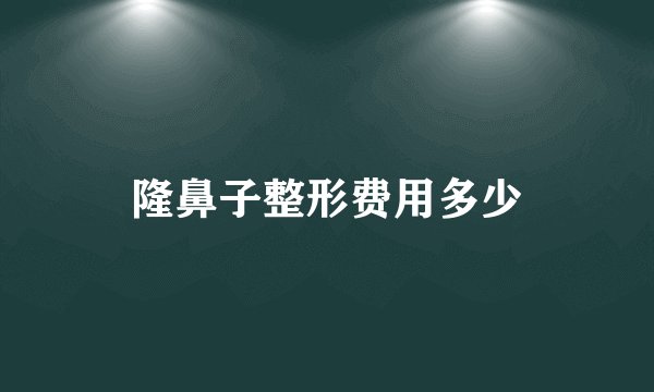 隆鼻子整形费用多少