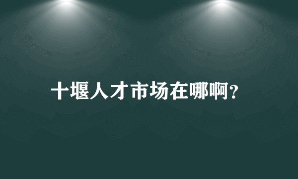 十堰人才市场在哪啊？