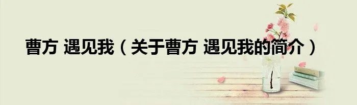曹方 遇见我（关于曹方 遇见我的简介）