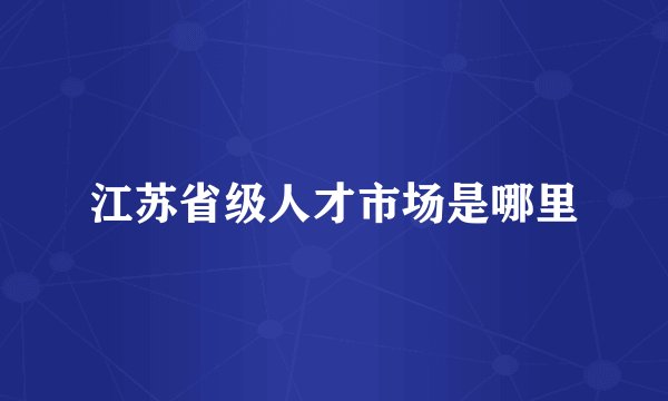 江苏省级人才市场是哪里