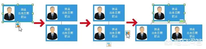 四年级家谱图怎么画?