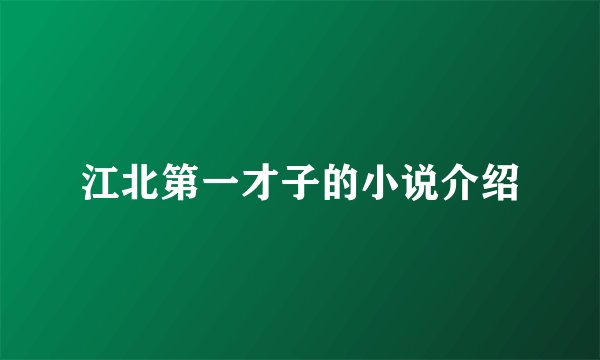 江北第一才子的小说介绍
