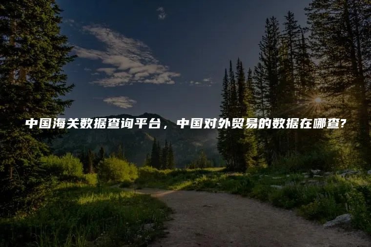 中国海关数据查询平台,中国对外贸易的数据在哪查?