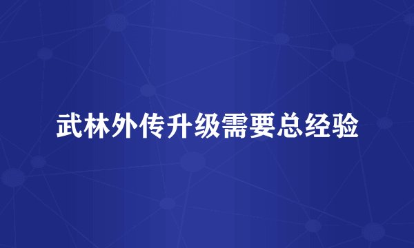 武林外传升级需要总经验