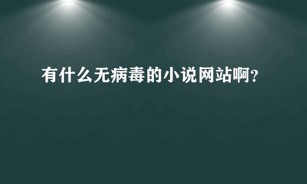 有什么无病毒的小说网站啊？