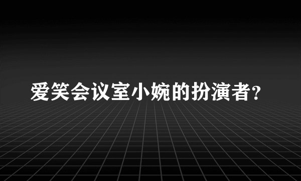 爱笑会议室小婉的扮演者？